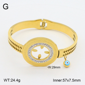 2BA402109bvpl-478  Stainless Steel Bangle