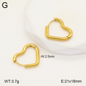 2E2005651aajo-675  Stainless Steel Earrings