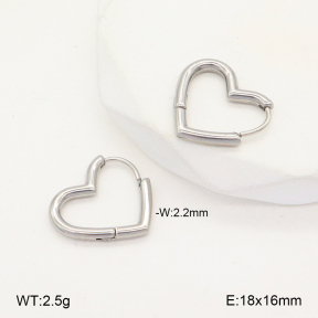 2E2005652aaio-675  Stainless Steel Earrings