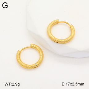 2E2005653aajo-675  Stainless Steel Earrings