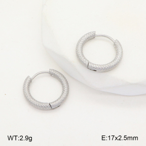2E2005654aaio-675  Stainless Steel Earrings