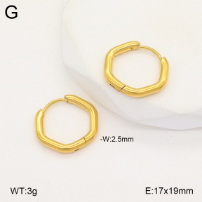 2E2005655avja-675  Stainless Steel Earrings