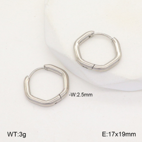 2E2005656vaia-675  Stainless Steel Earrings