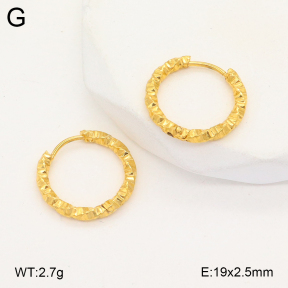 2E2005657aajo-675  Stainless Steel Earrings
