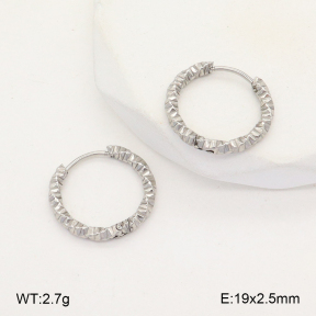 2E2005658aaio-675  Stainless Steel Earrings