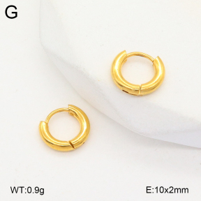 2E2005659vaia-675  Stainless Steel Earrings