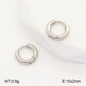 2E2005660aahl-675  Stainless Steel Earrings