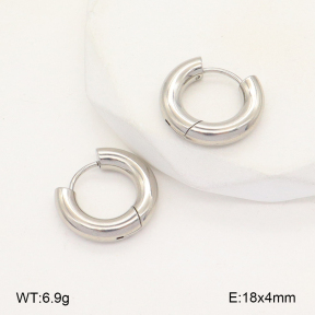 2E2005661vail-675  Stainless Steel Earrings