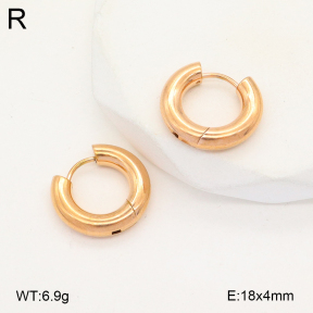2E2005662aajl-675  Stainless Steel Earrings