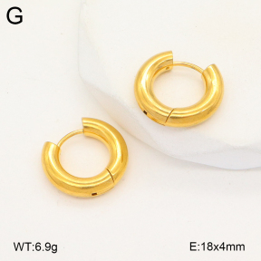 2E2005663aajl-675  Stainless Steel Earrings