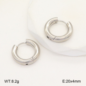 2E2005664vail-675  Stainless Steel Earrings
