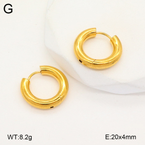 2E2005665aajl-675  Stainless Steel Earrings