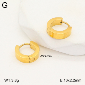 2E2005666aajl-675  Stainless Steel Earrings