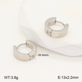2E2005667vail-675  Stainless Steel Earrings