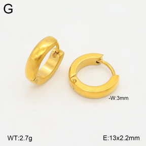 2E2005668aajl-675  Stainless Steel Earrings