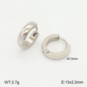 2E2005669vail-675  Stainless Steel Earrings