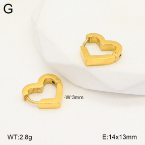2E2005670aajl-675  Stainless Steel Earrings