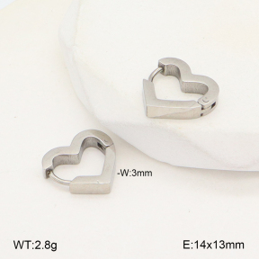 2E2005671vail-675  Stainless Steel Earrings