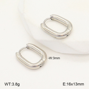 2E2005673vail-675  Stainless Steel Earrings