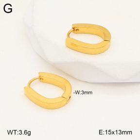 2E2005674aajl-675  Stainless Steel Earrings