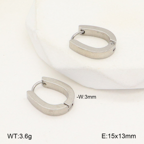 2E2005675vail-675  Stainless Steel Earrings