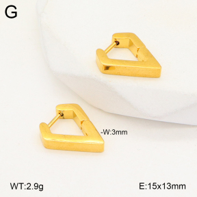 2E2005676aajl-675  Stainless Steel Earrings