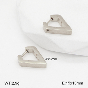 2E2005677vail-675  Stainless Steel Earrings