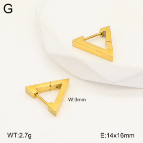 2E2005678aajl-675  Stainless Steel Earrings