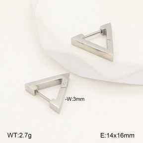 2E2005679vail-675  Stainless Steel Earrings