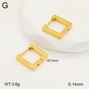 2E2005680aajl-675  Stainless Steel Earrings