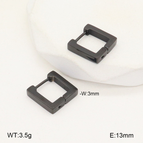 2E2005681aajl-675  Stainless Steel Earrings