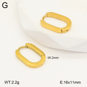 2E2005682aajl-675  Stainless Steel Earrings