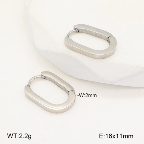2E2005683vail-675  Stainless Steel Earrings