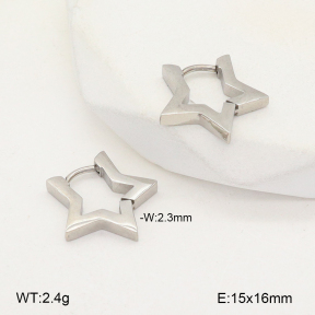 2E2005685avja-675  Stainless Steel Earrings
