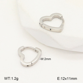 2E2005686vail-675  Stainless Steel Earrings