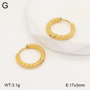 2E2005687aajl-675  Stainless Steel Earrings