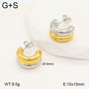 2E2005689vbpb-675  Stainless Steel Earrings