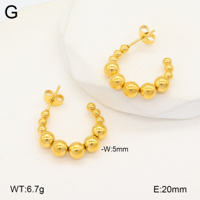 2E2005690vbmb-675  Stainless Steel Earrings