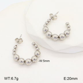 2E2005691aakl-675  Stainless Steel Earrings
