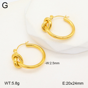 2E2005692vbmb-675  Stainless Steel Earrings