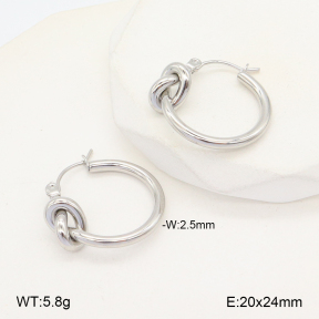 2E2005693ablb-675  Stainless Steel Earrings