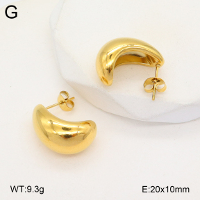 2E2005694vbmb-675  Stainless Steel Earrings