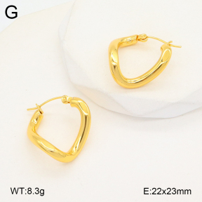 2E2005696aakl-675  Stainless Steel Earrings