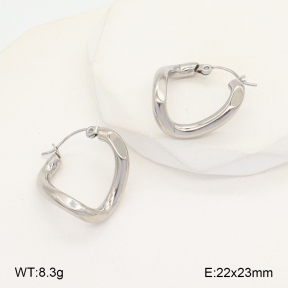 2E2005697aajl-675  Stainless Steel Earrings