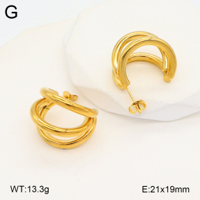 2E2005698vbnb-675  Stainless Steel Earrings
