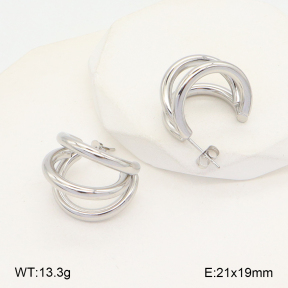 2E2005699vbmb-675  Stainless Steel Earrings