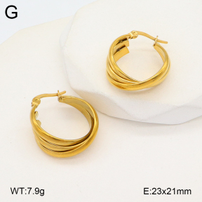 2E2005700bbov-675  Stainless Steel Earrings