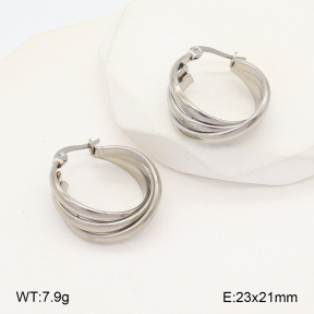2E2005701bbml-675  Stainless Steel Earrings