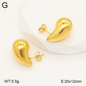 2E2005702vbnb-675  Stainless Steel Earrings