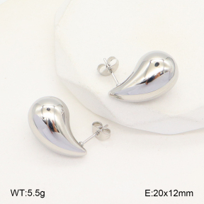 2E2005703vbmb-675  Stainless Steel Earrings